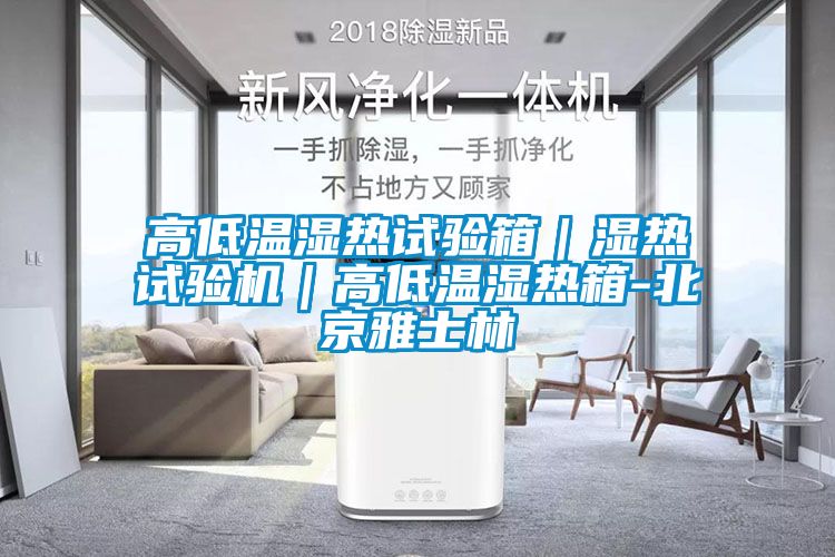 高低溫濕熱試驗箱｜濕熱試驗機｜高低溫濕熱箱-北京雅士林