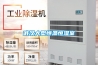 大型除濕機 泳池除濕設備單價