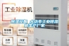 除濕設備 大功率工業除濕機生產廠家