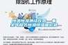 近日大暑，防暑同時勿忘除濕