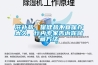 滋補品、保健品不宜保存太久，行內專家告訴你儲藏方法