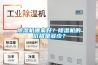 除濕機哪家好？除濕機的價格是多少？