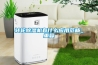 家用除濕機哪個牌子好？家用除濕機品牌排行要知道