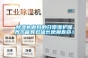 除濕機做好的日常維護保養才能有效延長使用壽命！