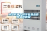 家用除濕機哪個牌子好 家用除濕機品牌選擇