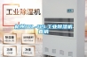 杭州10L-12L工業除濕機直銷