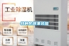 供應非標除濕機杭州非標除濕機浙江非標除濕機廠家