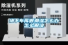 陳皮烘干除濕機