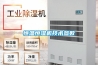 這幾天，不妨將空調開在除濕檔，但是開空調除濕，不妨打開除濕機