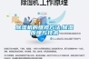 梅雨季來了，你確定不用除濕機來解決潮濕問題？