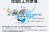 關注：中國除濕機企業 牛年突圍之守則