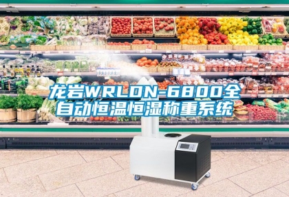龍巖WRLDN-6800全自動恒溫恒濕稱重系統