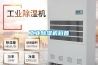 HF系列風冷冷風型恒溫恒濕空調機