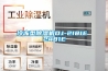 家裝除濕新選擇 隱藏式吊裝新風除濕機