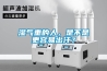 濕氣重的人，是不是更容易出汗？