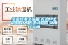 三、智能互聯除濕機推薦（自定義靈活操控，輕松除濕更無感）